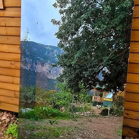 Goat And Hotel Bogazici
